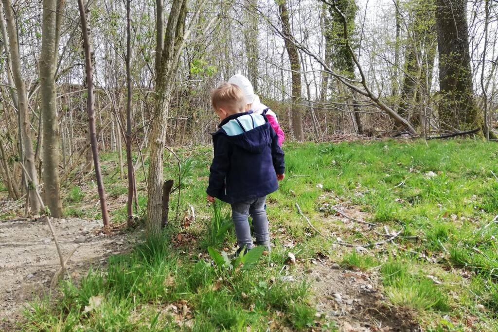 5Sterne Ferienwohnung Im Fachwerk Mit Bergblick In Alleinlage Und Grossem Garten, Infrarotkabine Humberg Zewnętrze zdjęcie