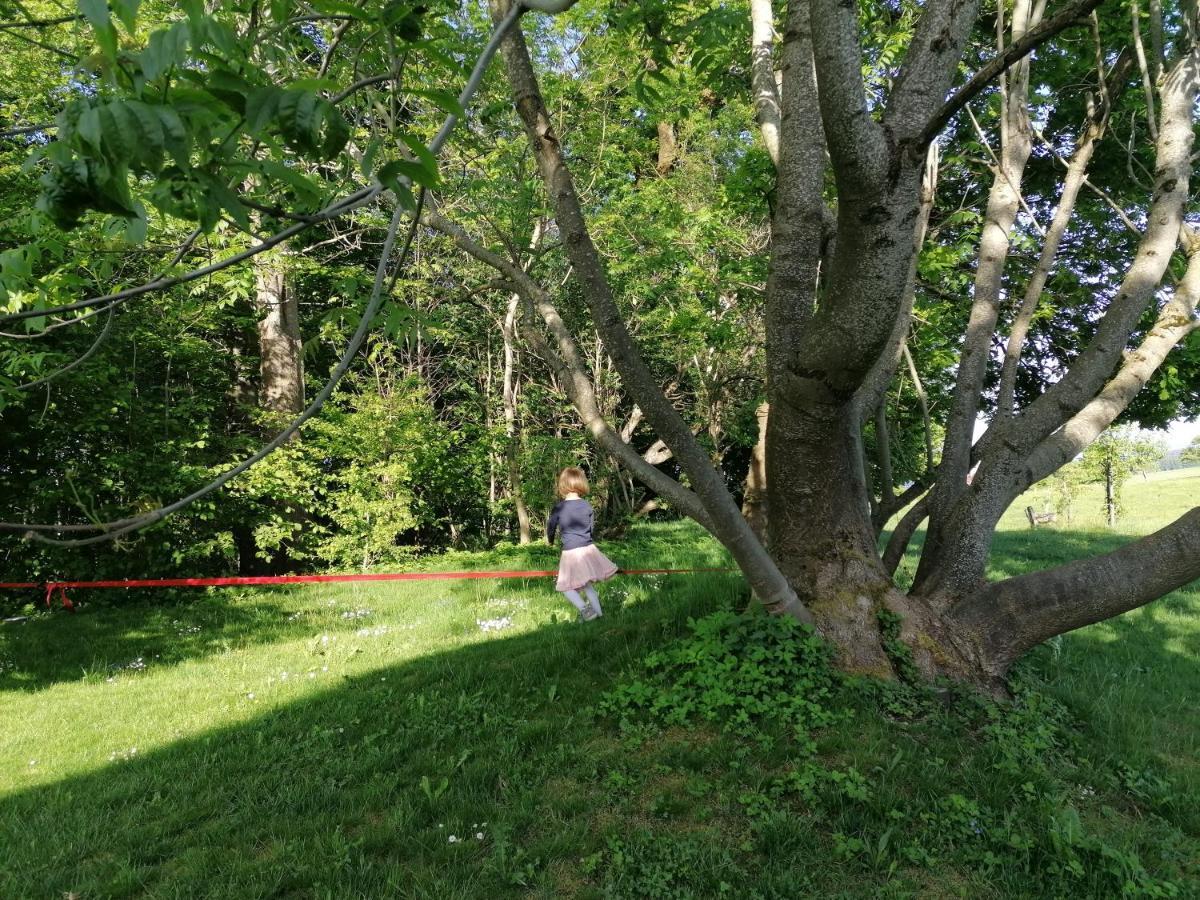5Sterne Ferienwohnung Im Fachwerk Mit Bergblick In Alleinlage Und Grossem Garten, Infrarotkabine Humberg Zewnętrze zdjęcie