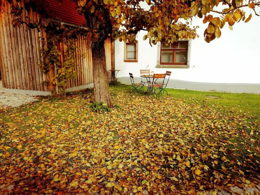 5Sterne Ferienwohnung Im Fachwerk Mit Bergblick In Alleinlage Und Grossem Garten, Infrarotkabine Humberg Zewnętrze zdjęcie