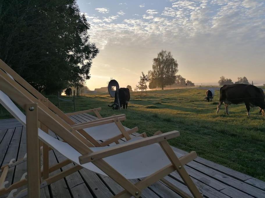 5Sterne Ferienwohnung Im Fachwerk Mit Bergblick In Alleinlage Und Grossem Garten, Infrarotkabine Humberg Zewnętrze zdjęcie